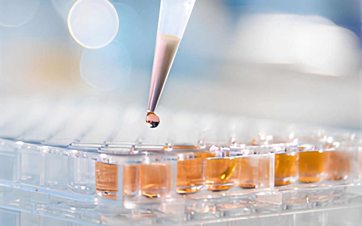 Chemicals & Pharmaceuticals